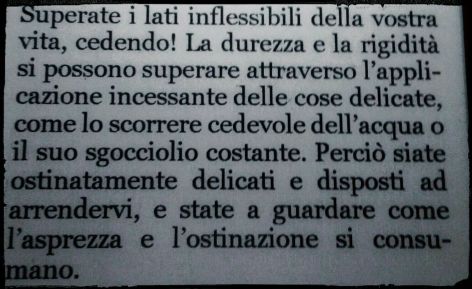 22218608_10214385648546143_149108299940466894_o