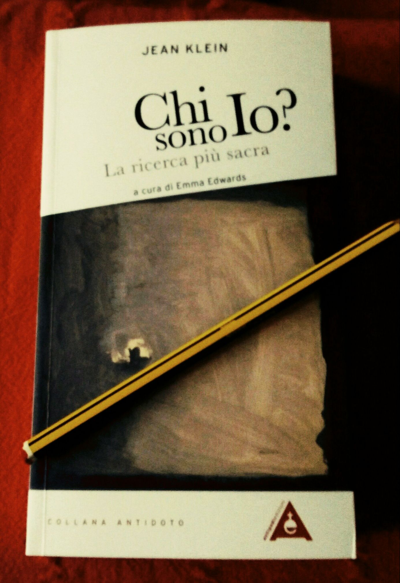 30713001_10216045780328400_9154589187876323328_o