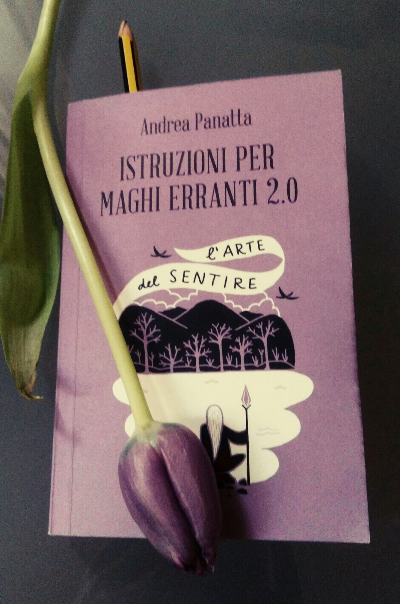 45182194_10217588171887225_329441356155977728_o