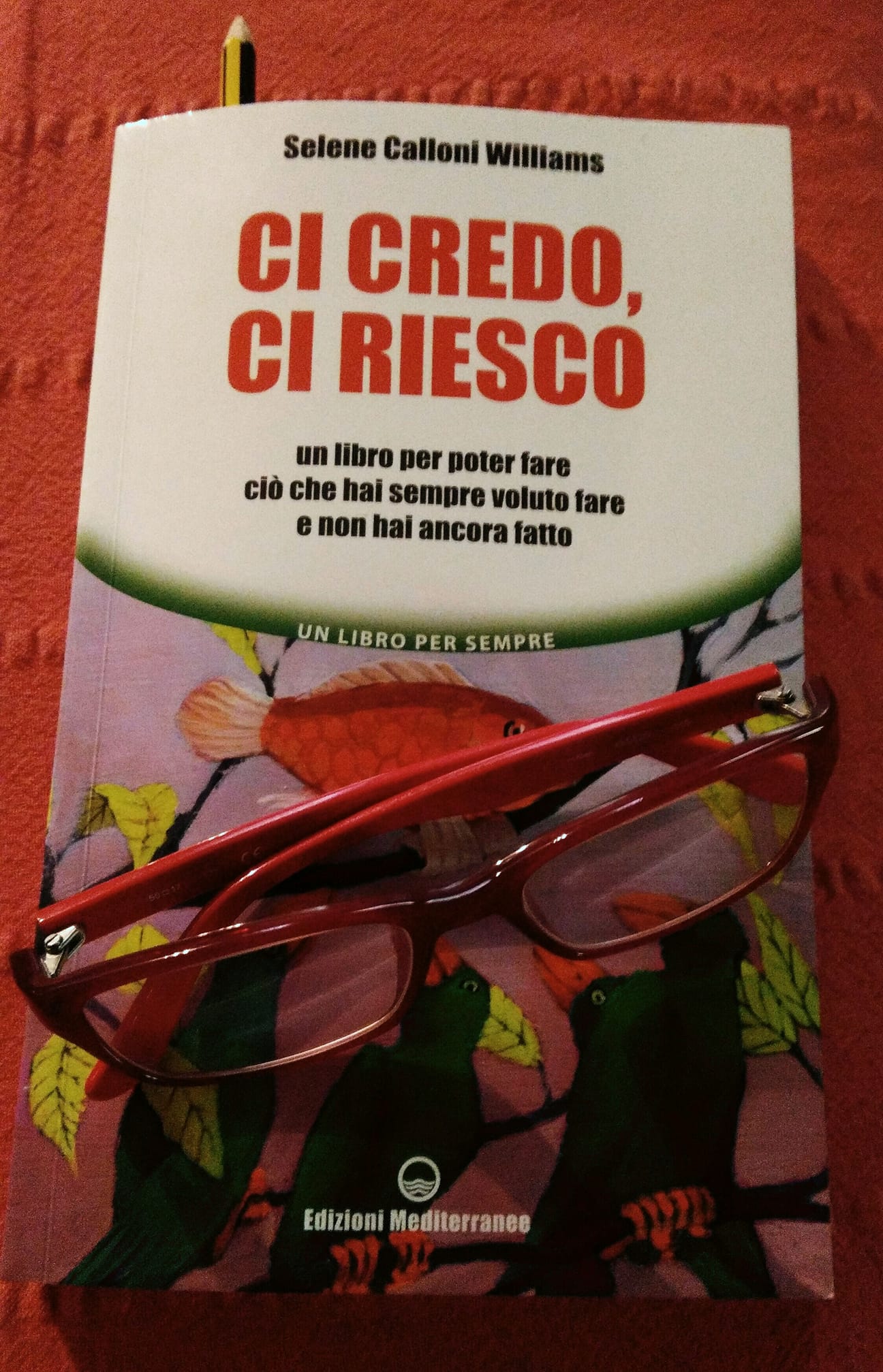 49841031_10218123676994518_5952696368697966592_o