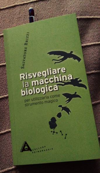 71757002_10220122121314377_627098154730258432_o