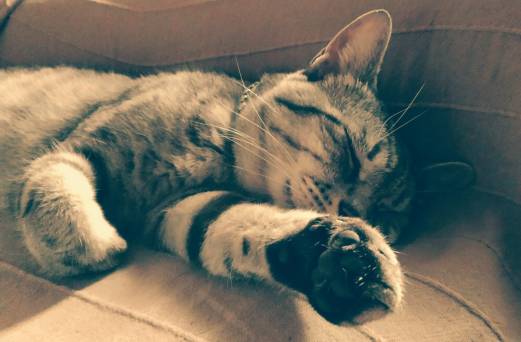 104028058_10222734225255343_2800601881072623815_o